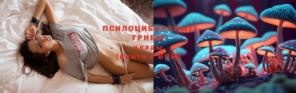 шишки Алзамай