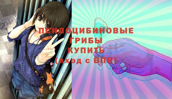 гидра Майский