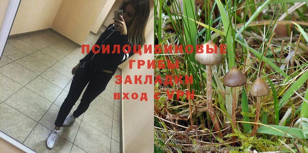 кокаин колумбия Алексин
