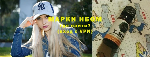 шишки Алзамай