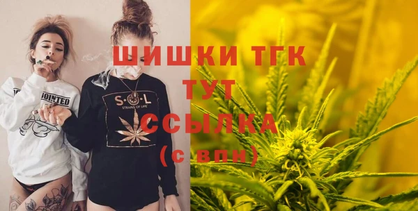 шишки Алзамай